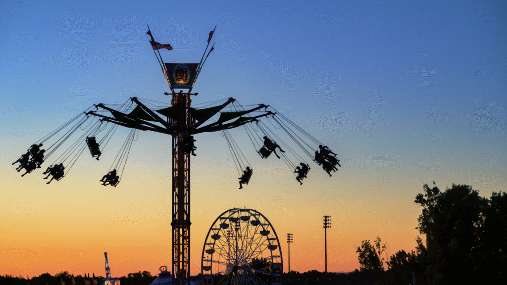 Theme park swing ride